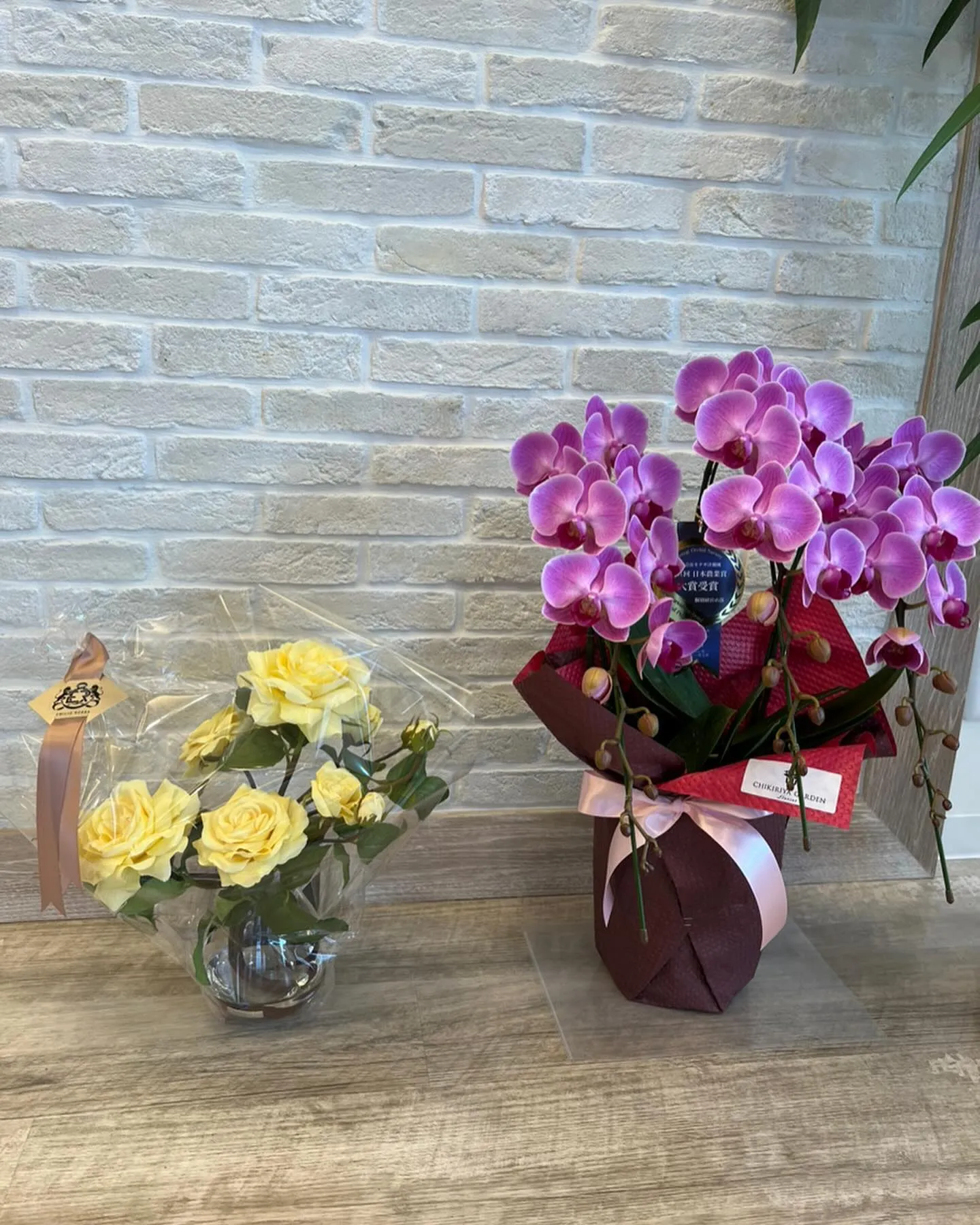 こんにちは😁つしま歯科 衛生士の松野です👱♀️