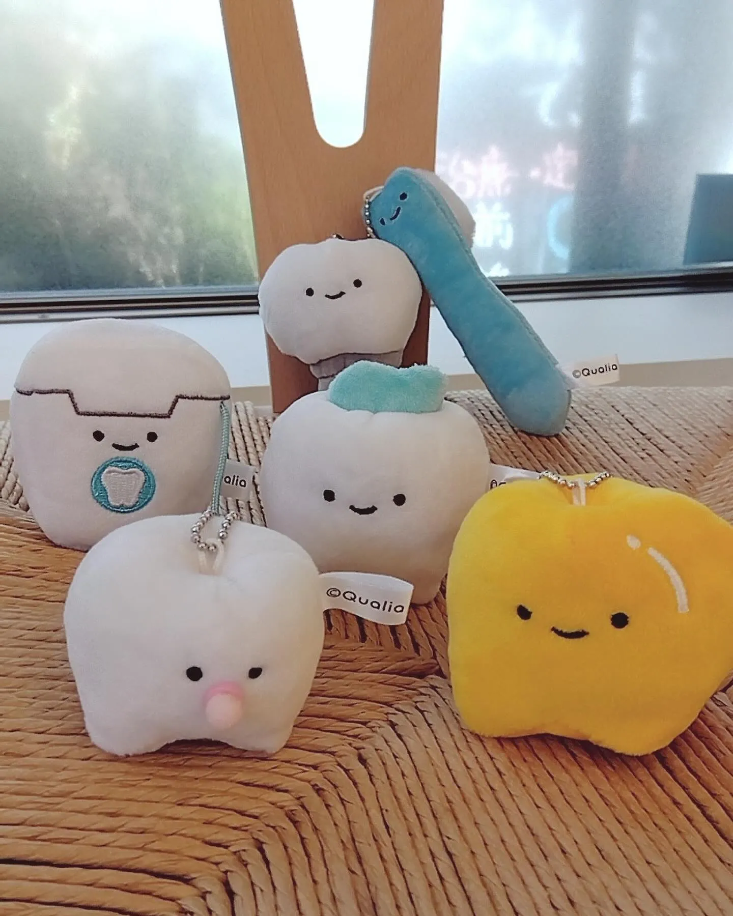 新しい仲間たち