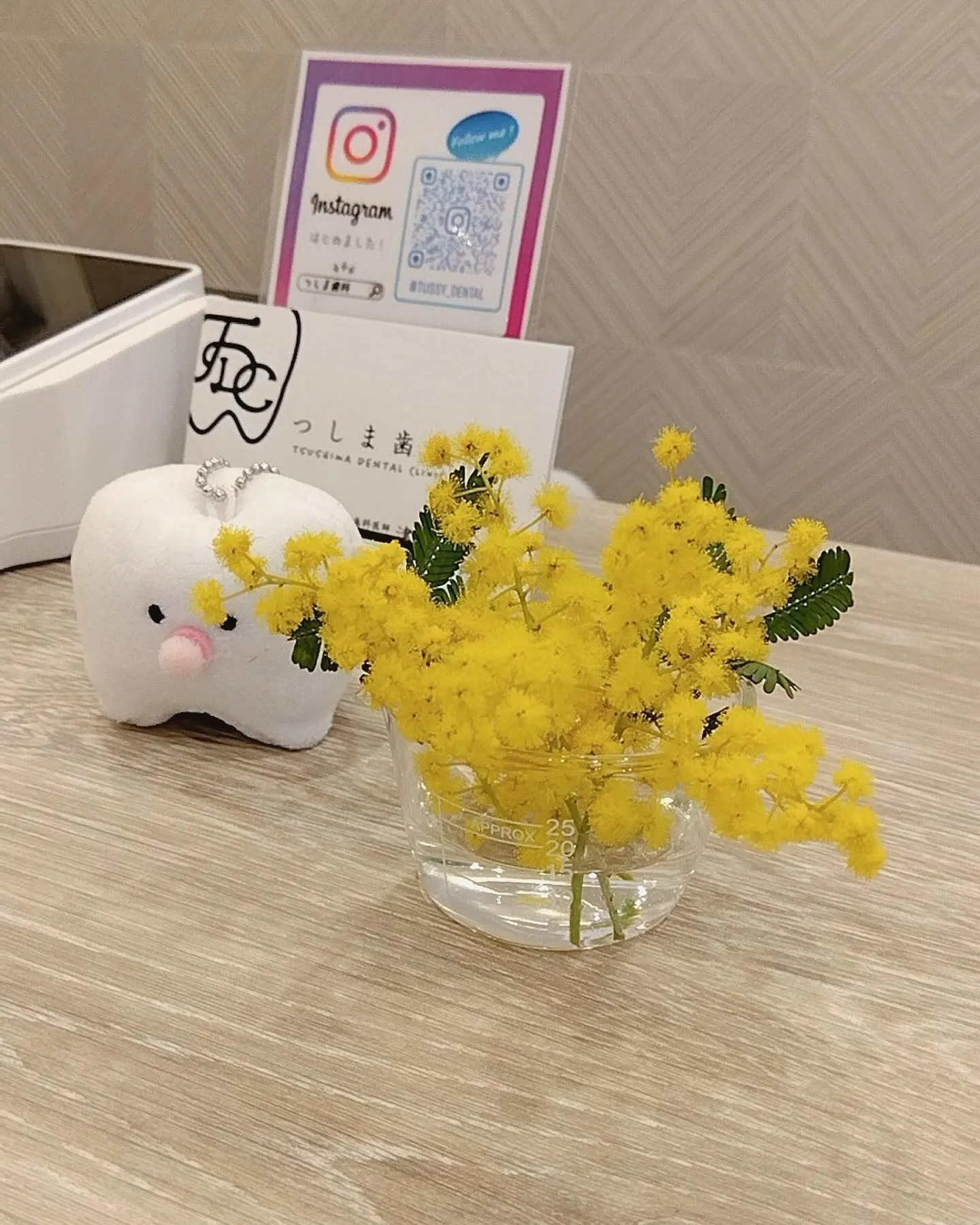 ミモザの日🌼