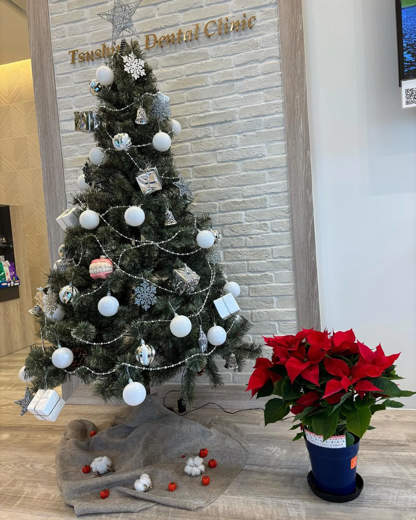 🎄ポインセチア🎅