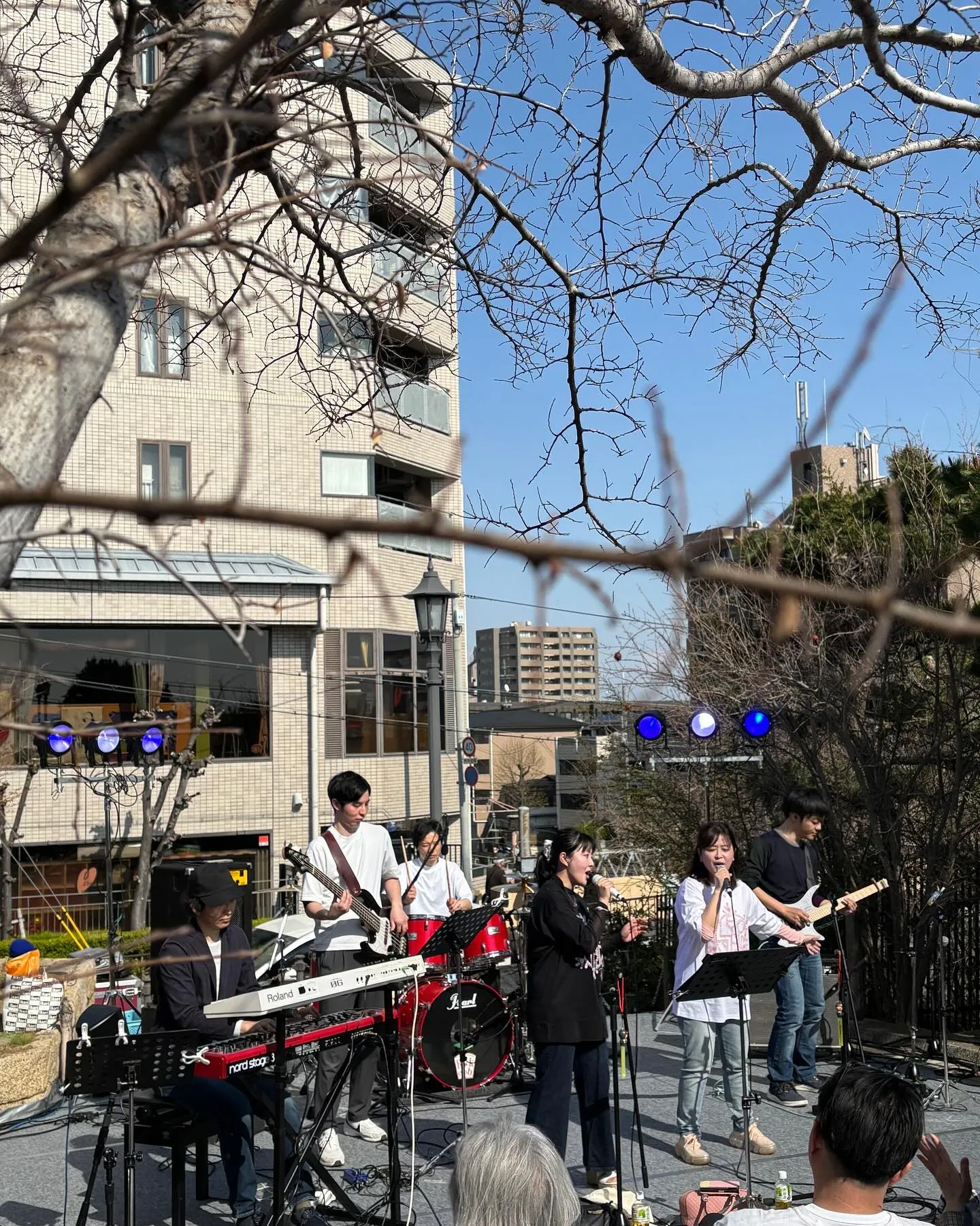 芦屋さくら祭り🌸