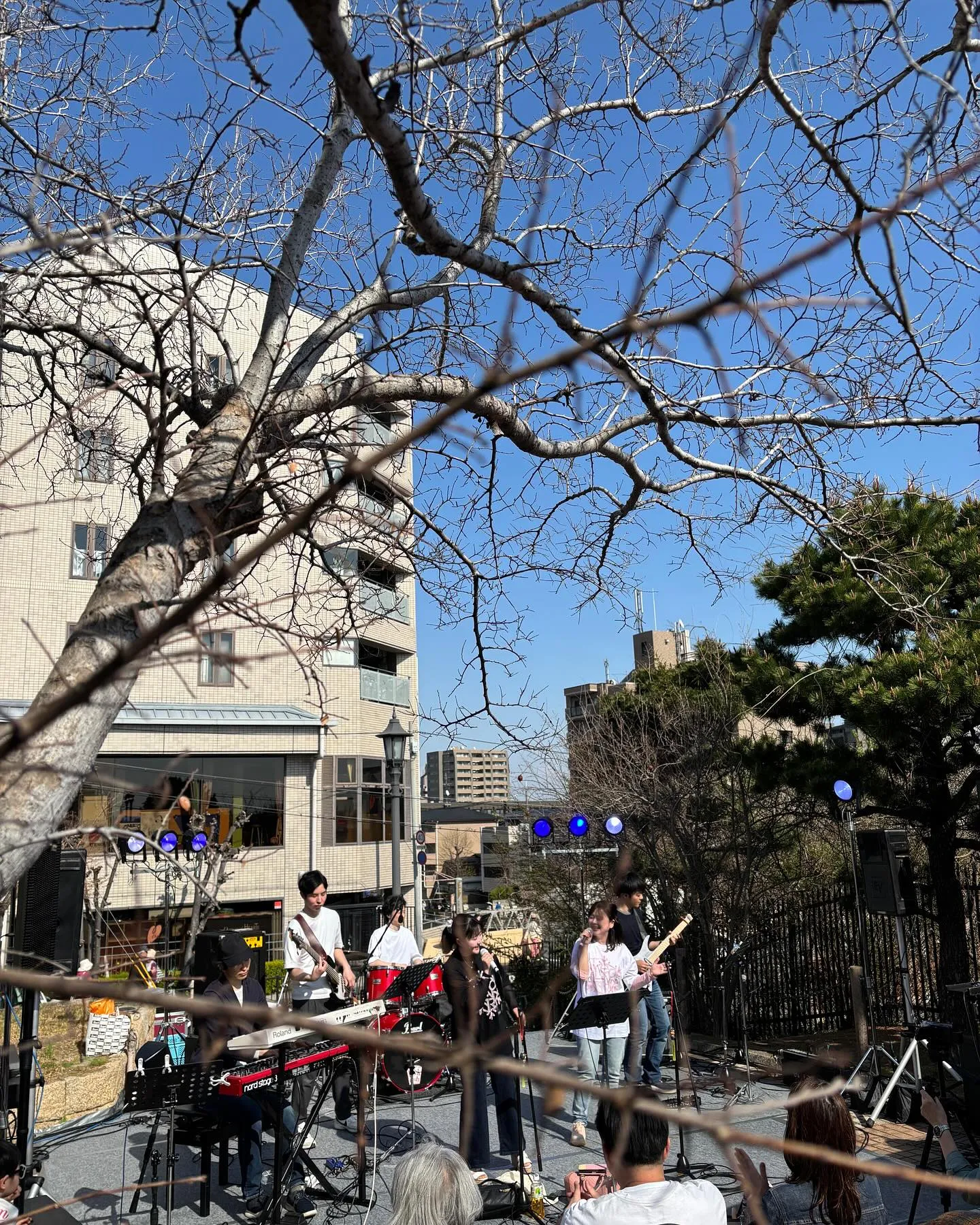 芦屋さくら祭り🌸
