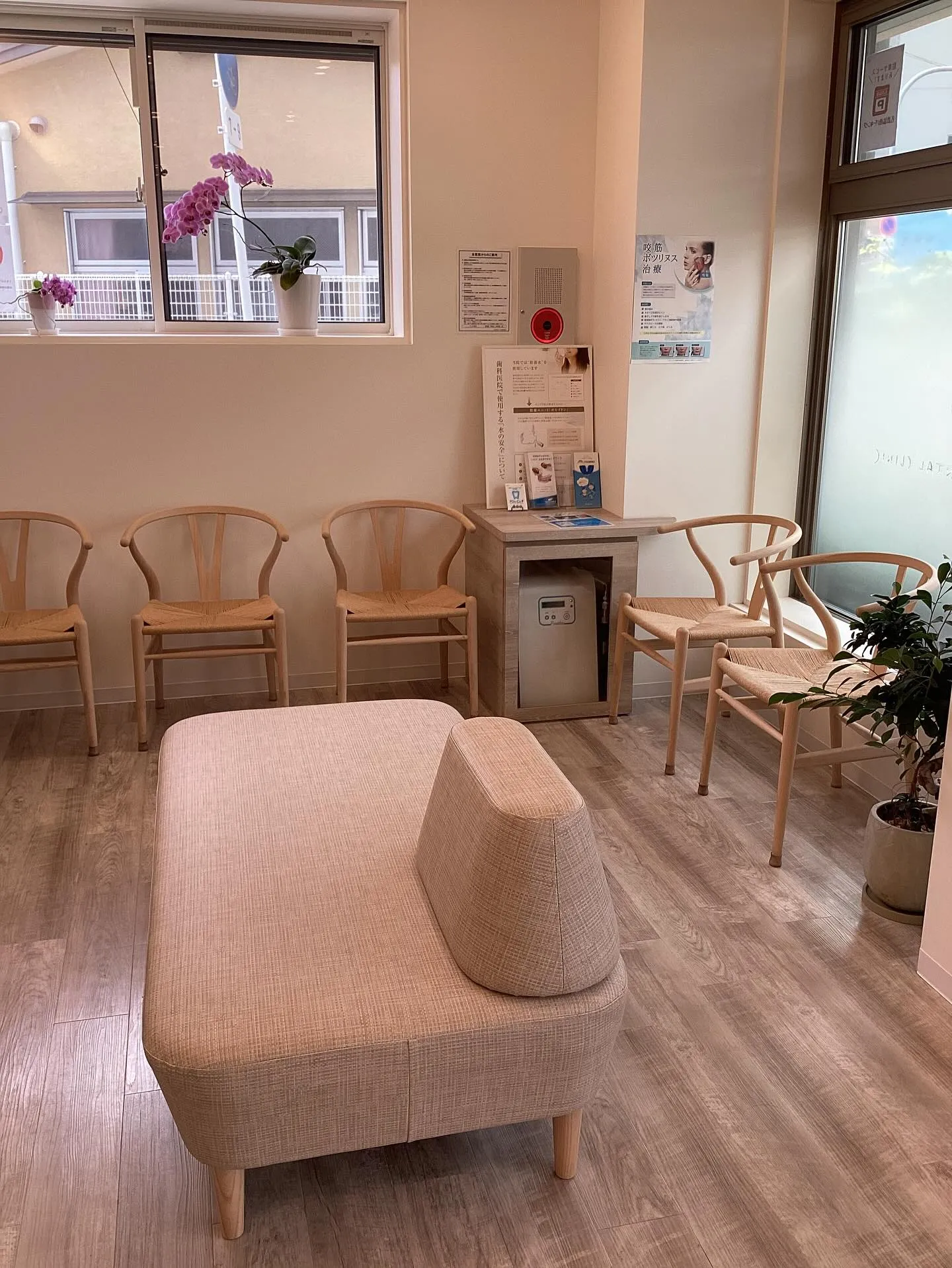 歯と口の健康週間🦷