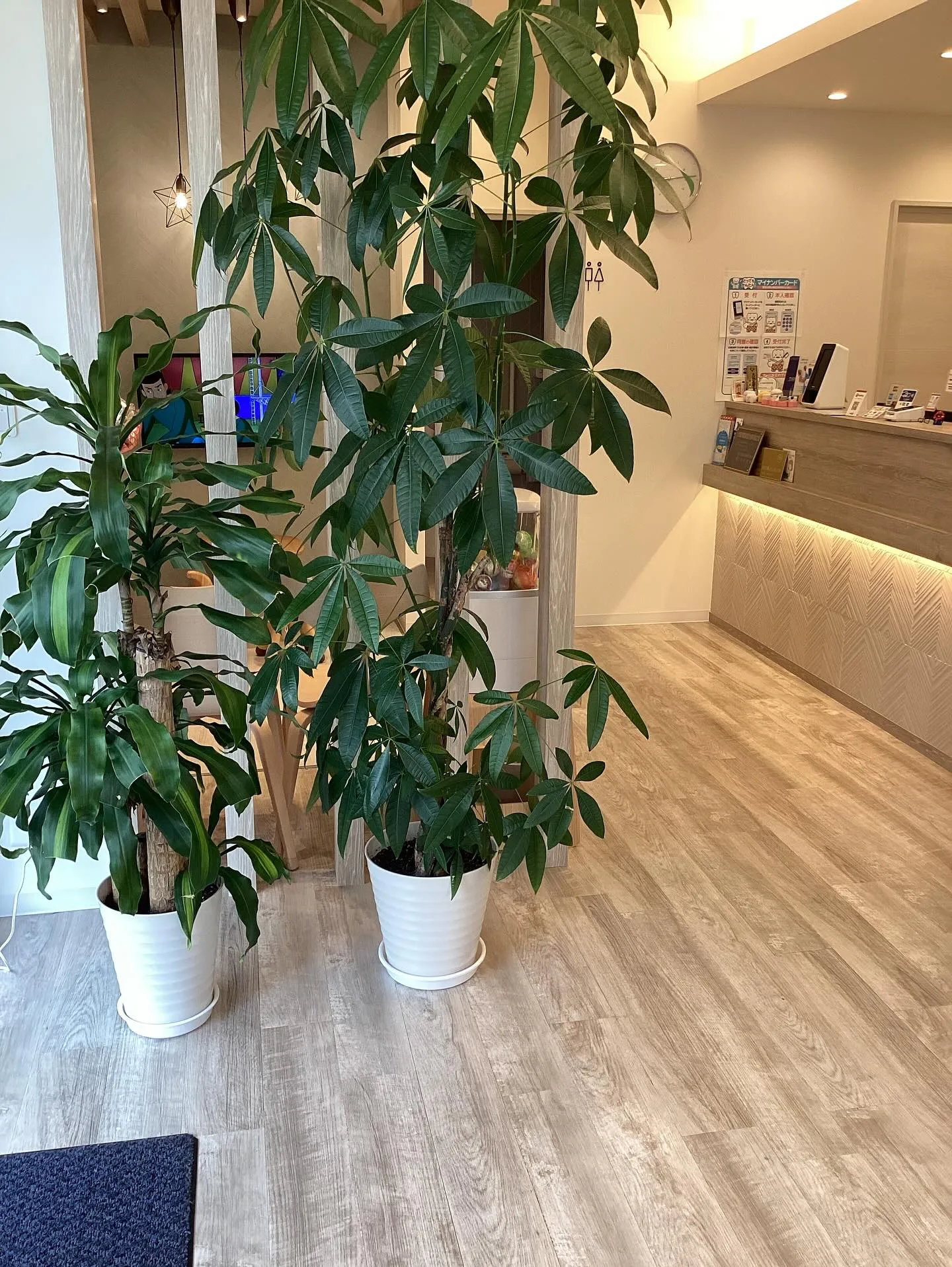 歯と口の健康週間🦷