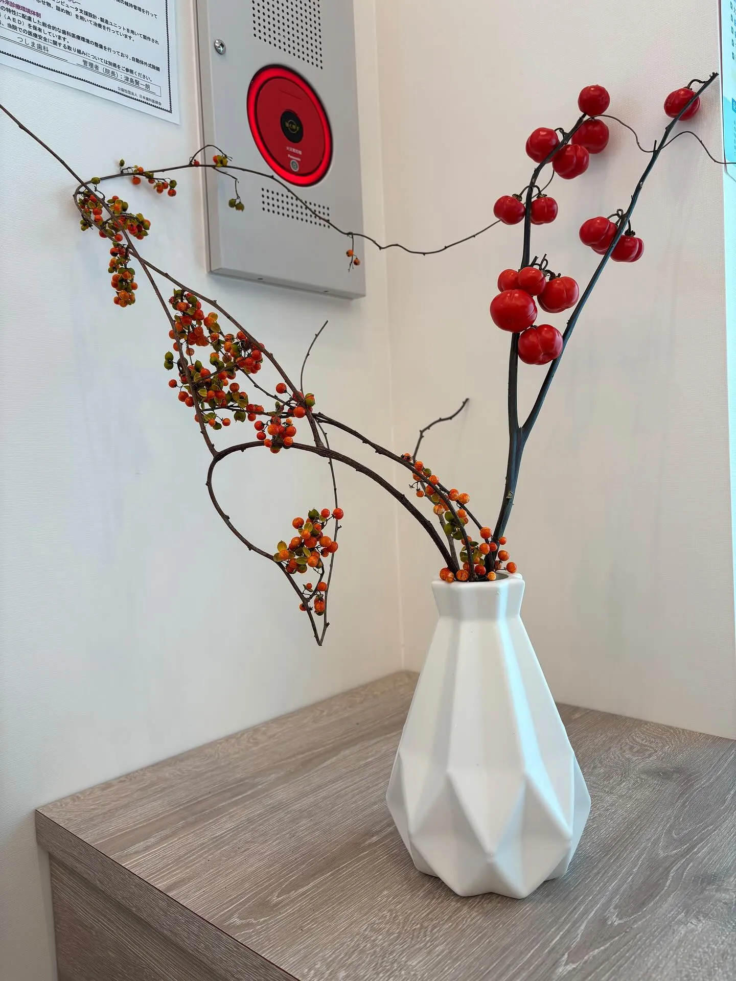 🌸可愛い花なす🌸