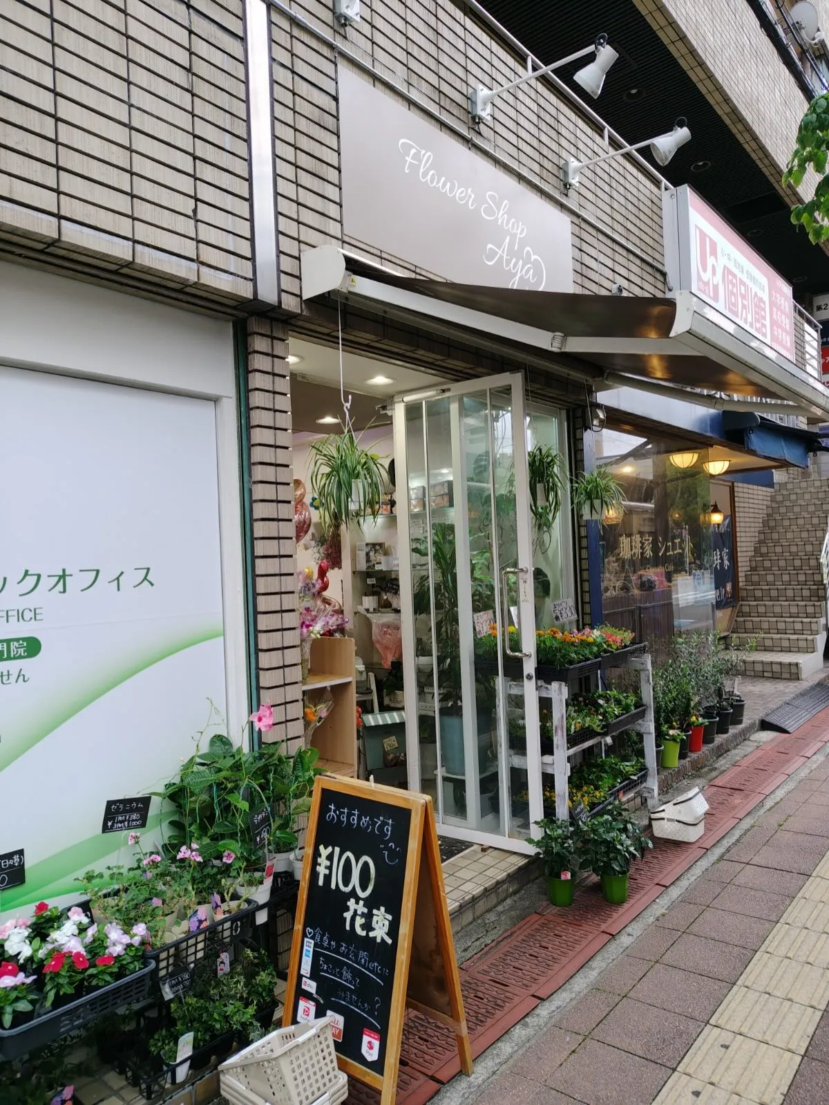 お花🌸