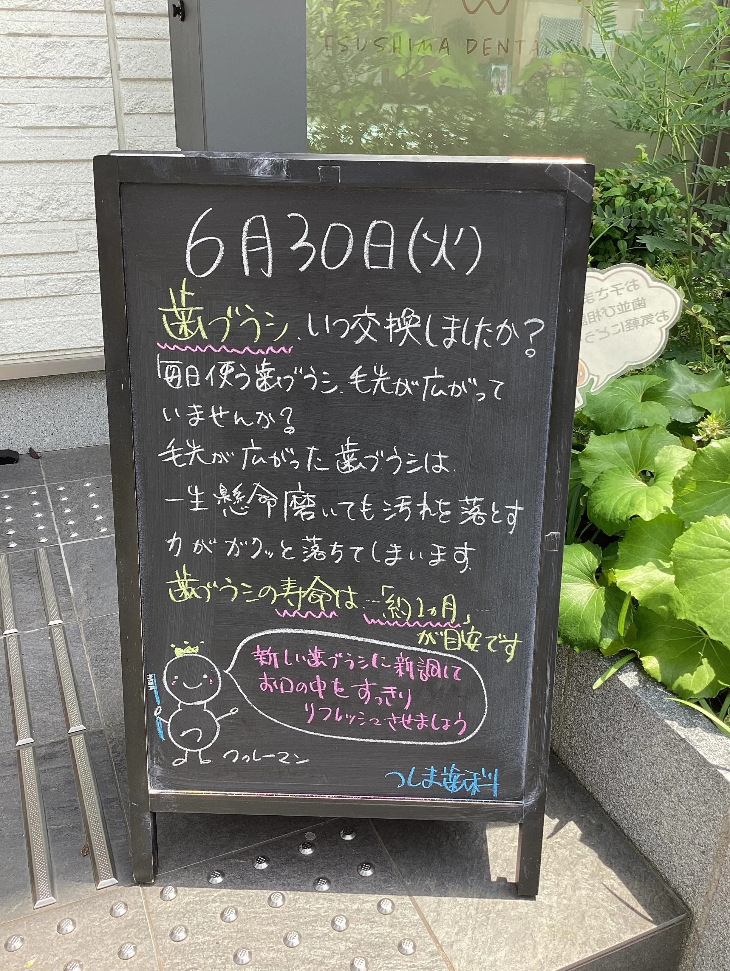6月ももう終わりですね☔️🐸